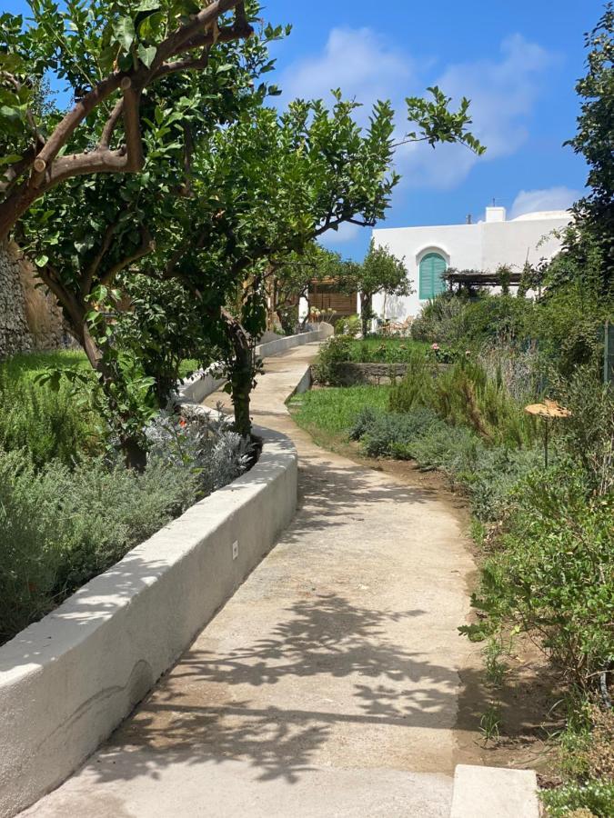 Capri Suite Marina Grande Экстерьер фото
